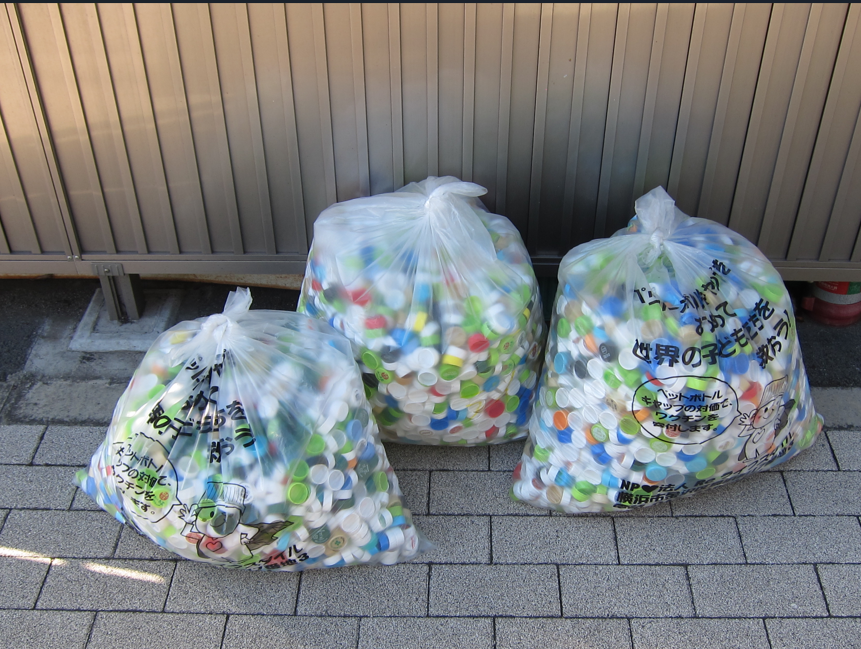 �ʐ^:�y�b�g�{�g���L���b�v